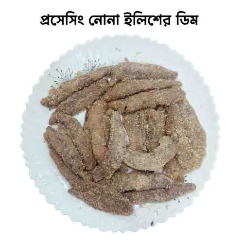 ইলিশের প্রাণ,সাথে খাঁটি ঘ্রাণ(ইলিশ ডিম ছোট )